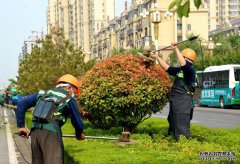 青州市：黨建紅+園林綠+環(huán)衛(wèi)橙，合力打造全域花園城市